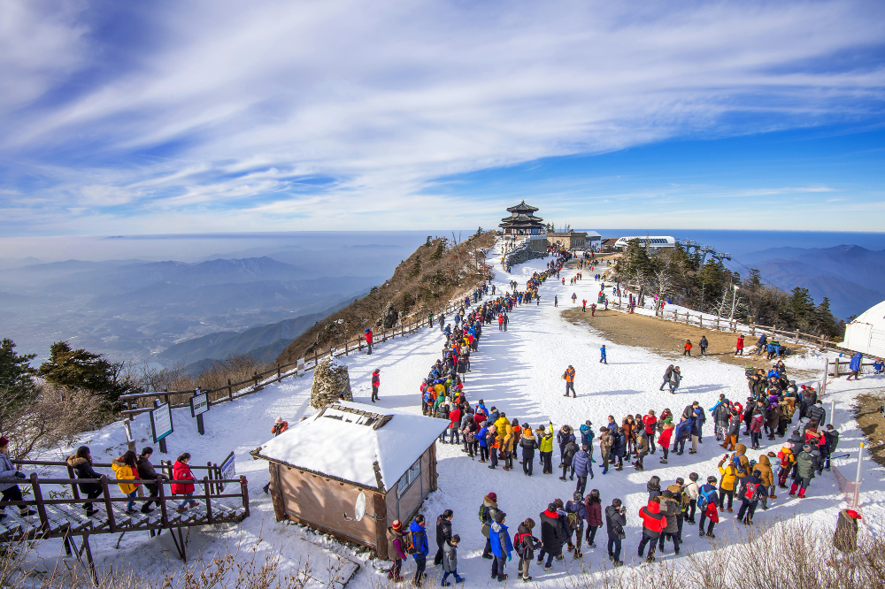 Best Things to Do in Kasauli